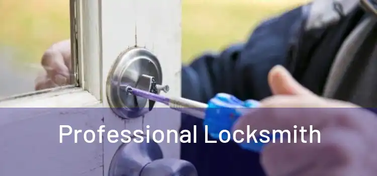  Professional Locksmith 